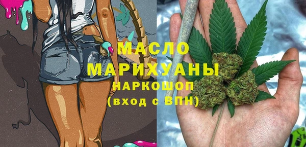 молекула духа Елабуга