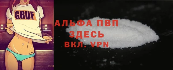 молекула духа Елабуга