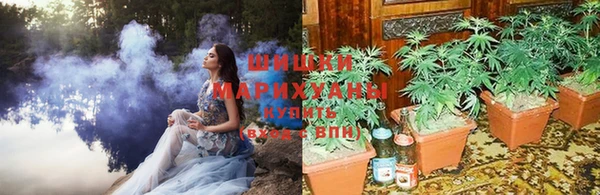 спайс Ельня