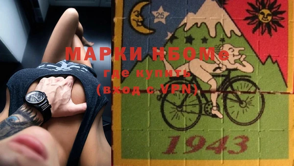 молекула духа Елабуга