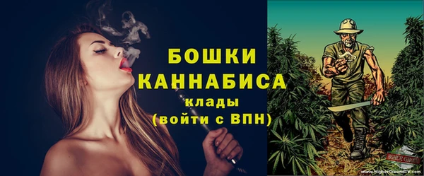 спайс Ельня