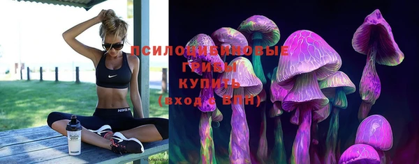 герыч Дмитров